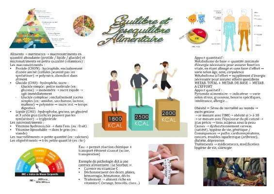 Exposé sur l'Équilibre Alimentaire et les Micronutriments - PDF et Tableaux Simplifiés