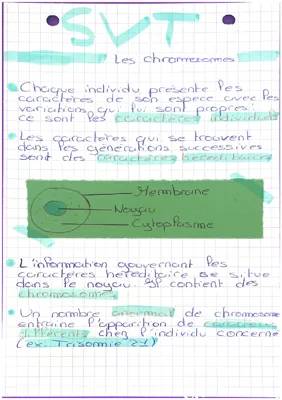 What Happens When Chromosomes Get Mixed Up?