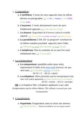 Les Figures de Style : PDF, Exercices et Exemples Simples