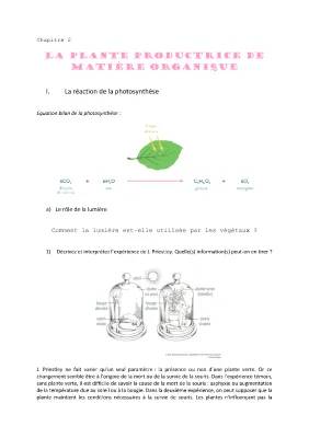 L'Importance de la Lumière pour la Photosynthèse - Schémas et Expériences