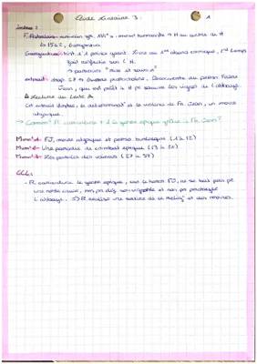 Fiche de Lecture Gargantua: Résumé et Analyse pour les Jeunes