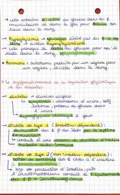 Cours et Exercices: Régulation de la Glycémie et Diabète