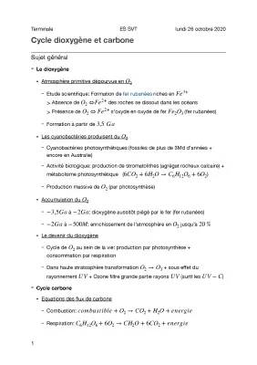 Schéma et Explication du Cycle du Carbone et de l'Oxygène PDF - Facile pour les Enfants