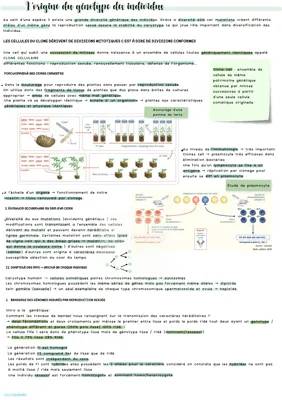 L’origine du génotype des individus 