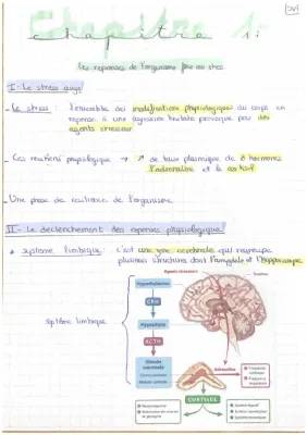 Comment ton corps réagit au stress aigu