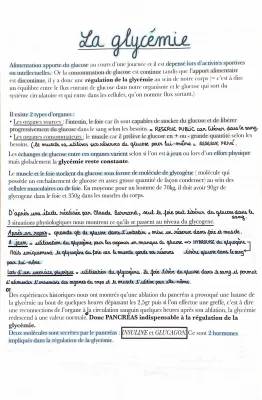 Cours sur la glycémie PDF et Exercices Corrigés