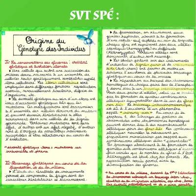 Origine du génotype et complexification des génomes: Exercices corrigés, QCM, et schémas