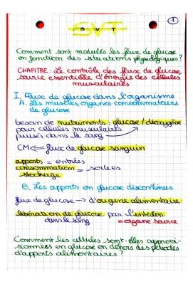 Le Contrôle des Flux de Glucose : Tout Savoir pour le Bac SVT