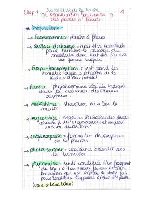 La photosynthèse et ses phases photochimiques