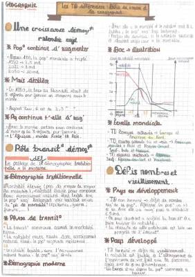 Les défis démographiques : définition, cartes, et exercices pour la Seconde