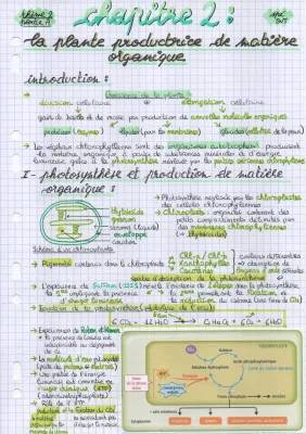 Les étapes de la photosynthèse : Schéma et Exposé pour Comprendre la Production de Matière Organique