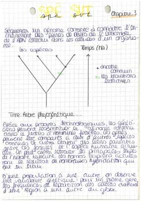  fiche SVT 