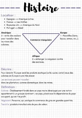 Le commerce triangulaire 4ème: Schéma, Exposé PDF et Marchandises