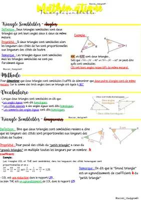 Exercices Triangles Semblables 3ème et 4ème: Amuse-toi à les Démontrer!