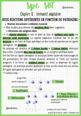 L'immunité adaptative et les réponses immunitaires en SVT 1ère