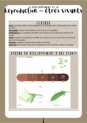 Découvre le Cycle des Plantes à Fleurs et les Étapes d'un Papillon