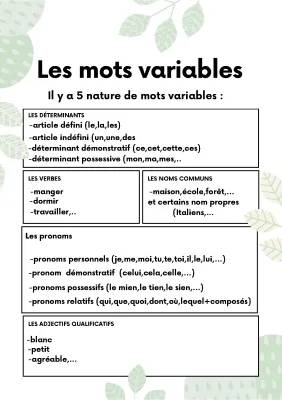 Découvre les Mots Variables et les Déterminants!