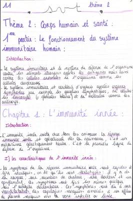 Le système immunitaire : cours résumé pour enfants