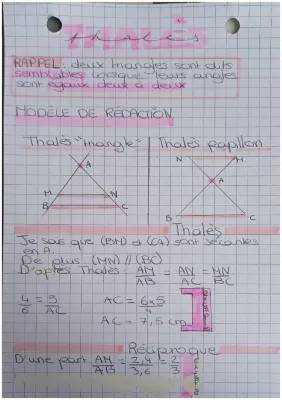 Comprendre le théorème de Thalès : Calculer des triangles et des angles