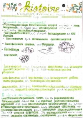 Découvre la Seigneurie au Moyen Âge : Schémas et Explications Simples pour les 5èmes