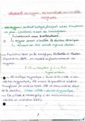 Les enzymes: Tout sur Les biomolécules, Cinétique, Transcription et Vitesse de réaction PDF