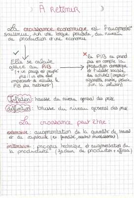 Comprendre la Croissance Économique Soutenable et ses Limites Écologiques