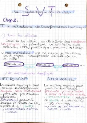 TP Seconde SVT Métabolisme cellulaire corrigé - Métabolisme autotrophe et hétérotrophe