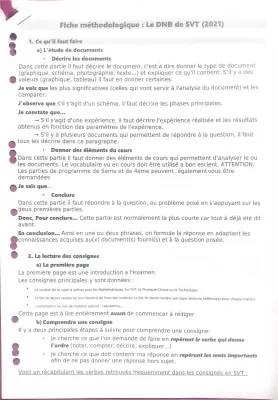 Comment Analyser un Document en SVT : Fiche Méthodologie 3ème et BAC PDF