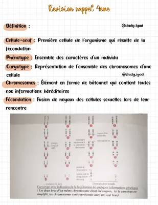 Quiz et Fiches de Révision SVT 4ème - Génétique, Exercices Corrigés PDF