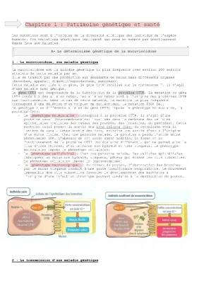 Tout sur la Mucoviscidose : DM, TP Corrigés et Infos CFTR