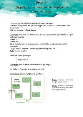 Le maintien du caryotype et maladies génétiques pour les 3èmes