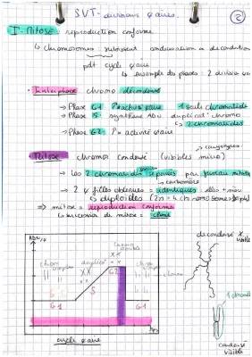 Découvre la Mitose et la Méiose : Réplication de l'ADN pour les Enfants