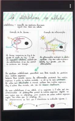 TP Métabolisme des Levures et Photosynthèse SVT Seconde