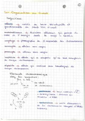 Découvre la Mitose et la Méiose: Différences et Points Communs!