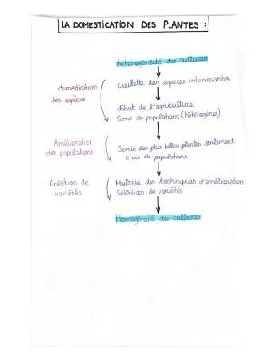 la domestication des plantes 