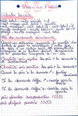 Fiche de Révision SES 1ère : Loi des rendements décroissants et Surplus