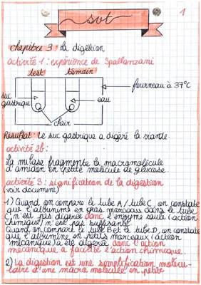 Cours Digestion 3ème PDF: Découvre l'Appareil Digestif et le Microbiote Intestinal