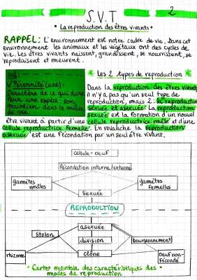 La reproduction des êtres vivants 5ème et 6ème : Tableau comparatif et exemples