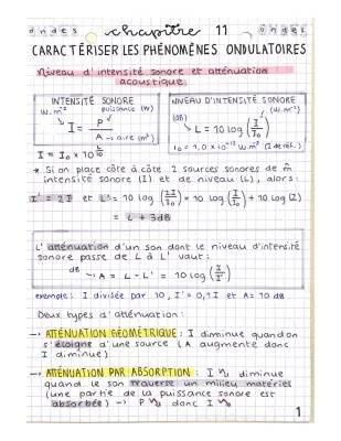 Comprendre les Phénomènes Ondulatoires: Trou et Fente d'Young, Diffraction et Atténuation