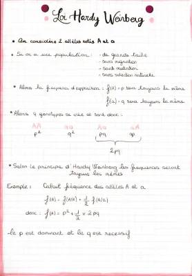 Découvre la Loi de Hardy-Weinberg: Exercice Corrigé et Formule Facile