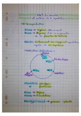 Cours SVT 4ème : Reproduction Humaine et Cycle Menstruel PDF