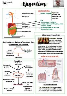 Digestion, absorption intestinale et microblogs 