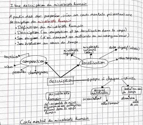 Le Microbiote Humain: Sa Composition et Son Rôle