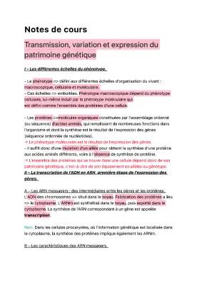 Tout sur la transmission et l'expression du patrimoine génétique pour les 10 ans !