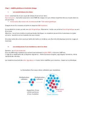 Découvre la Stabilité Génétique et les Lois de Mendel Pour les Petits Curieux !