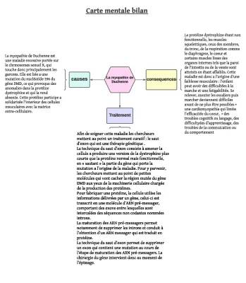 Découvre le traitement génétique pour la myopathie de Duchenne