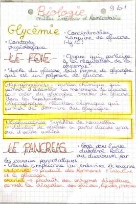 Fiche de Révision: Rôle du Pancréas et du Foie dans la Régulation de la Glycémie