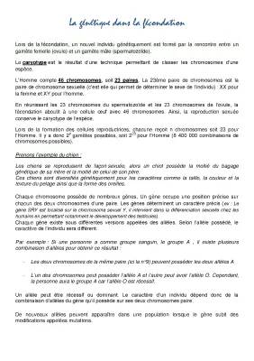 Découvre la génétique : Diversité et Reproduction chez l'Homme