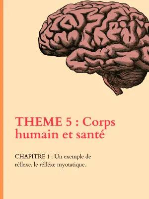 Découvre les Réflexes Myotatiques et la Moelle Épinière