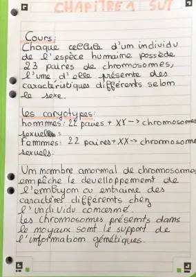 Tout savoir sur les chromosomes et le caryotype humain